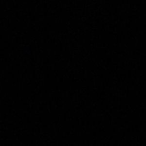 Meet your Posher, Lillian